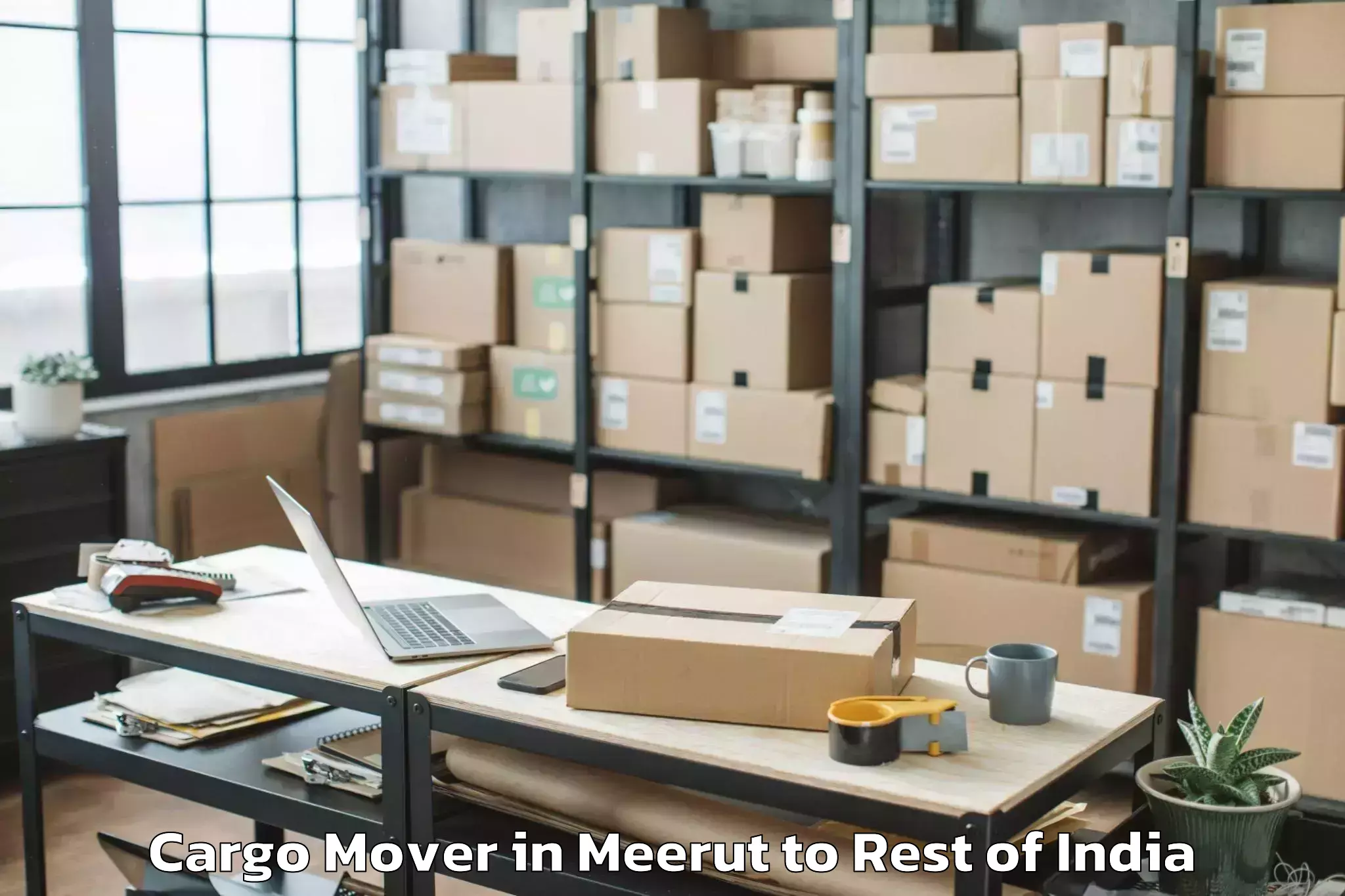 Easy Meerut to Sopore Cargo Mover Booking